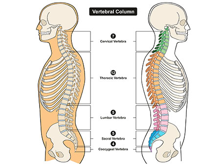 spinal column pain treatment in La Verne